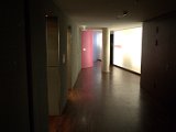 IMG_8494.CR2