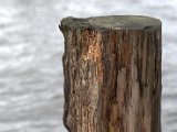 IMG_8778.CR2