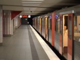 IMG_9077.CR2