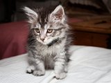 IMG_6450.jpg