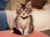 IMG_6458.jpg