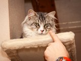 IMG_6616.jpg