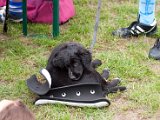 Foto387.jpg