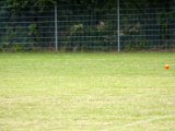 Foto431.jpg