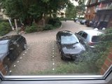IMG_7437.CR2