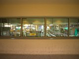 IMG_8117.CR2
