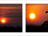 20110612 morgenstimmung collage.jpg