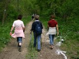 Hautzendorf2006 041.JPG
