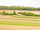 Hautzendorf 144.jpg