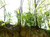 Hautzendorf 174.jpg