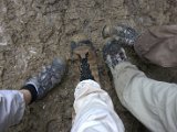 IMG_8688.CR2