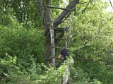 IMG_8870.CR2