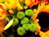 Foto_0610.jpg
