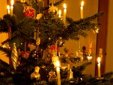 IMG_0271.jpg
