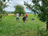 20240707_171044.jpg