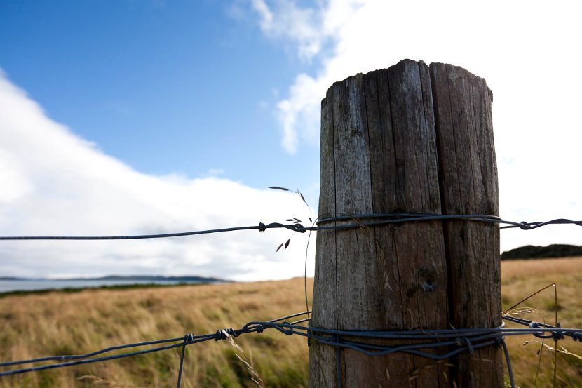 Schottland_437