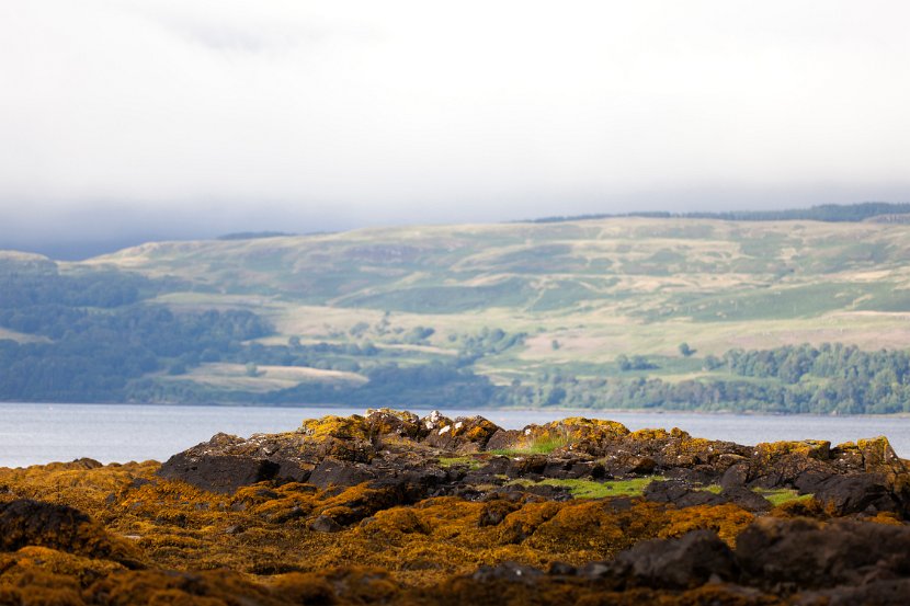 Schottland_572
