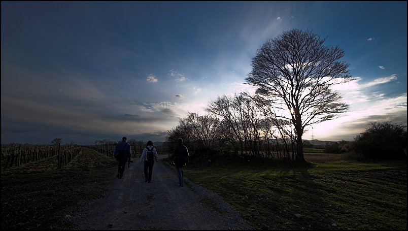 gegenlicht