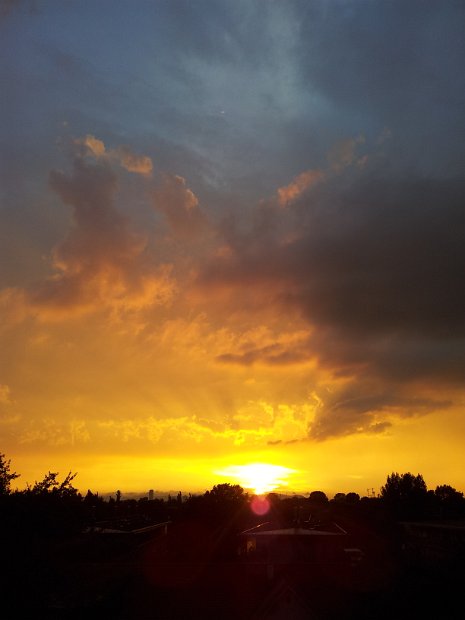 2014-08-03 20.14.29