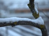 IMG_1127.CR2