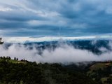 IMG_2218.jpg