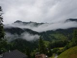 20170625_083336.jpg