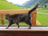 20170628_090926.jpg