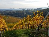 20171021_152239.JPG