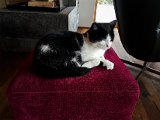 20171022_103625.JPG