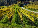 20171024_111255(1).JPG