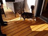 20171024_133611.JPG