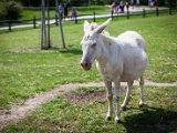 IMG_0064.jpg
