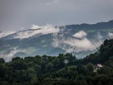 IMG_0454.jpg