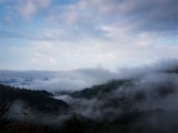 20180811_065200(0).JPG