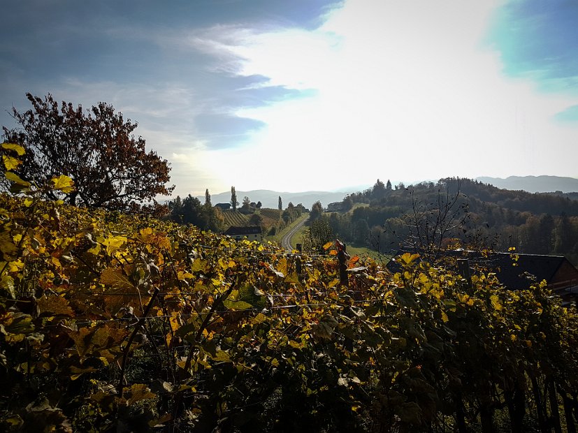 20181026_145525