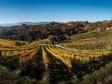 20181025_100040.JPG