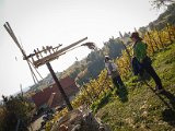 20181026_130436.JPG