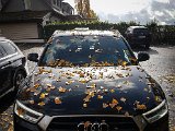 20181029_103422.JPG