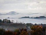 IMG_1703.jpg