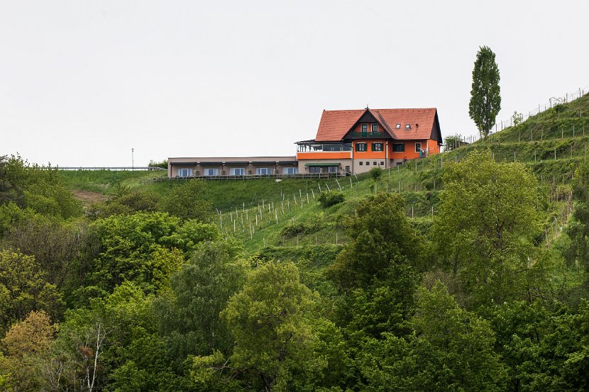 Foto_Wohlmuth-Lückl_004