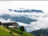 IMG_0531.jpg