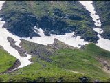 IMG_0563.jpg