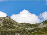 IMG_0602.jpg