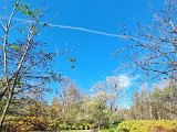 20221027_123629.jpg
