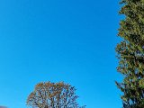 20221027_143812.jpg