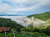 20230810_071913.jpg