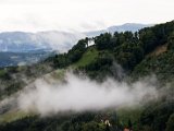 IMG_0379.jpg