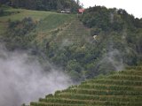 IMG_0384.CR2