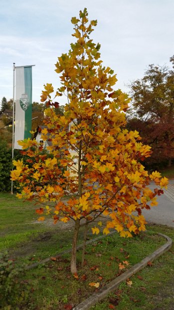 20151025_160336
