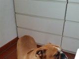 20151107_133733.jpg